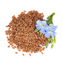 🌿 Linseed Extract