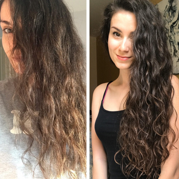 Complete Curl System - Bounce